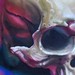 tattoo galleries/ - skull - 42059